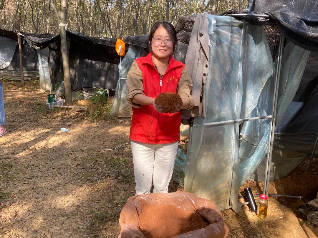 【产业富民专场】（二）玉晨村：20000株椴木灵芝喜获丰收 孢子粉丰产开出“致富花”