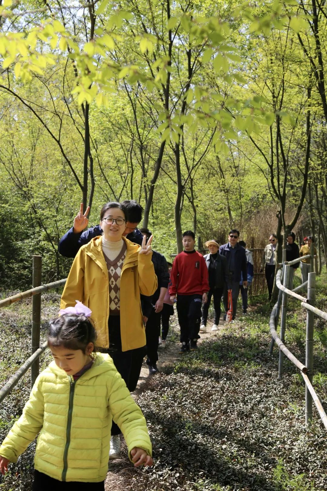 寻找茅山春“味”︱挖竹笋、采菌菇，你“趣”哪儿