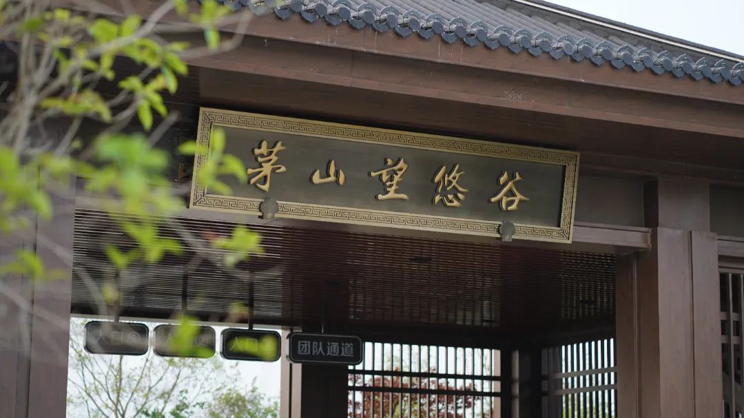 山谷之约 万物飞天 | 茅山湖旅游度假区望悠谷首届风筝露营节开始啦~