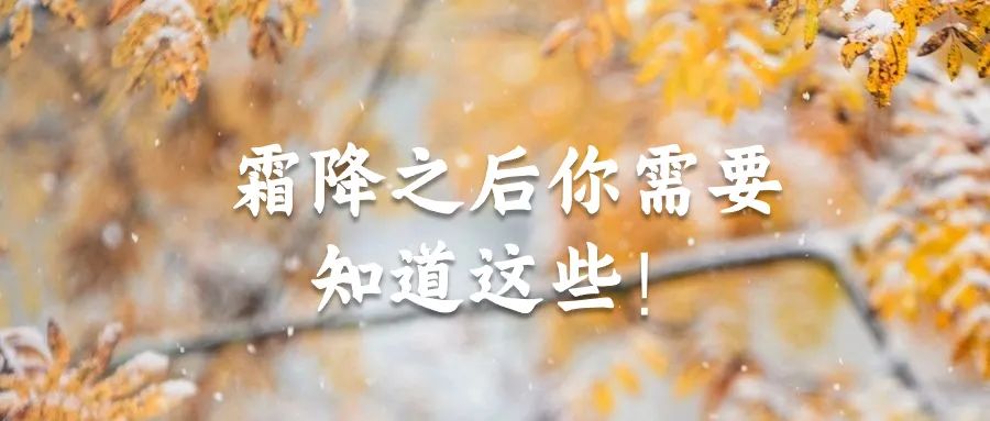 补冬不如补霜降 | 霜降节气茅山湖邀您一起养生