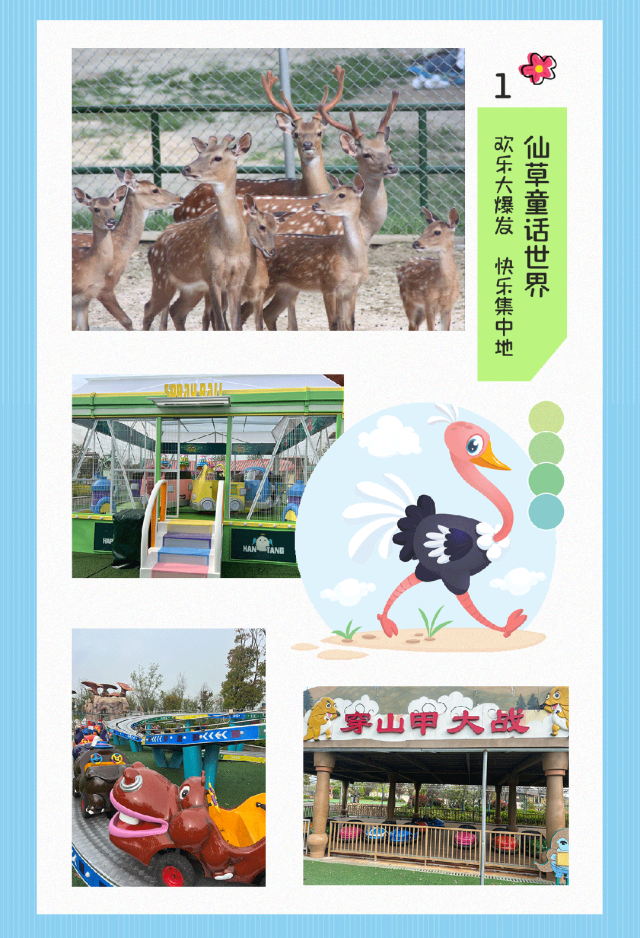(｡⊙౪⊙｡)天啦撸，竟然可以这样畅玩茅山望悠谷烟花节~~