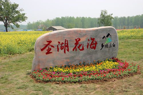 圣湖花海