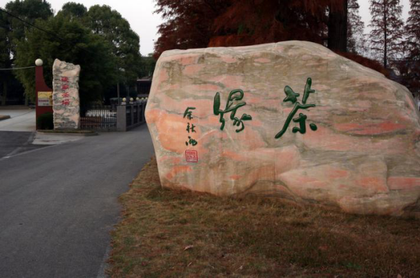 张庙茶场
