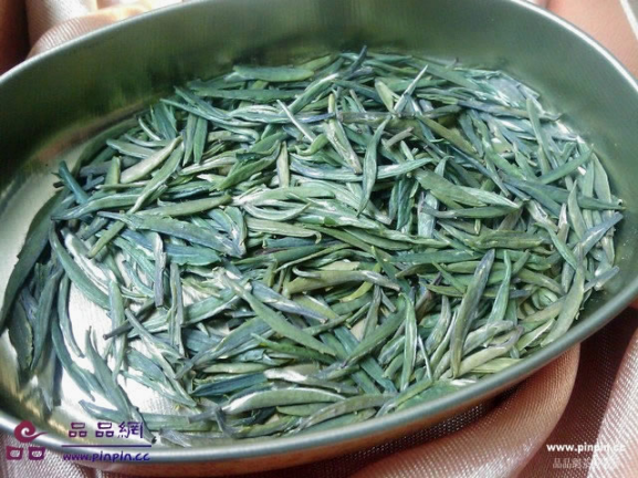 茅山长青