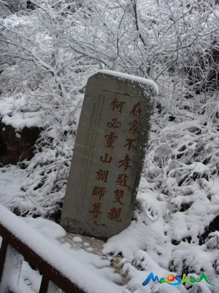 图片27.png