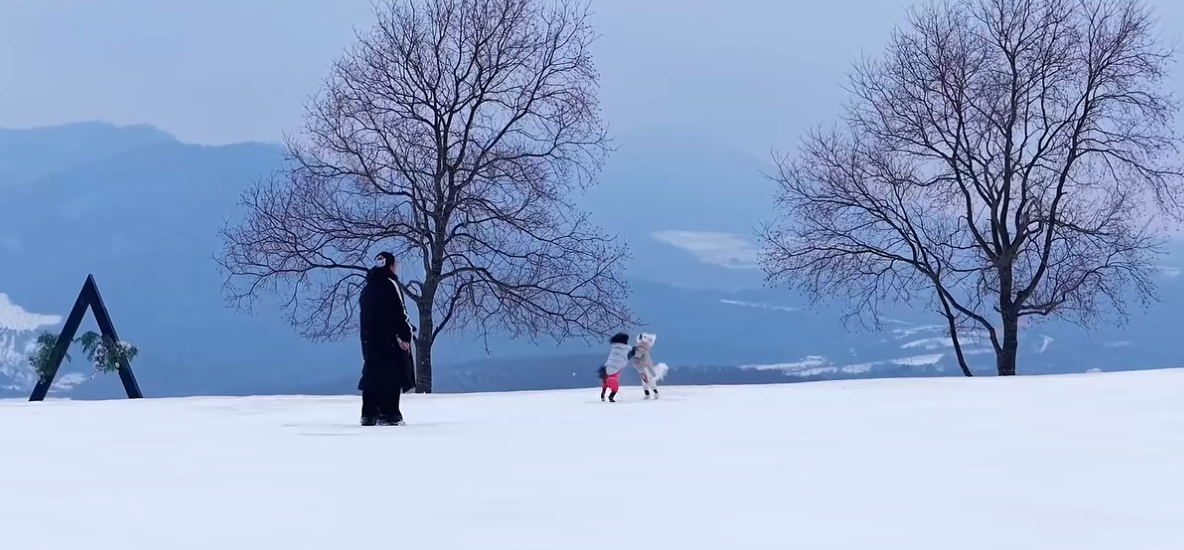 踏雪云崖，这片冰雪仙境藏着冬日的浪漫