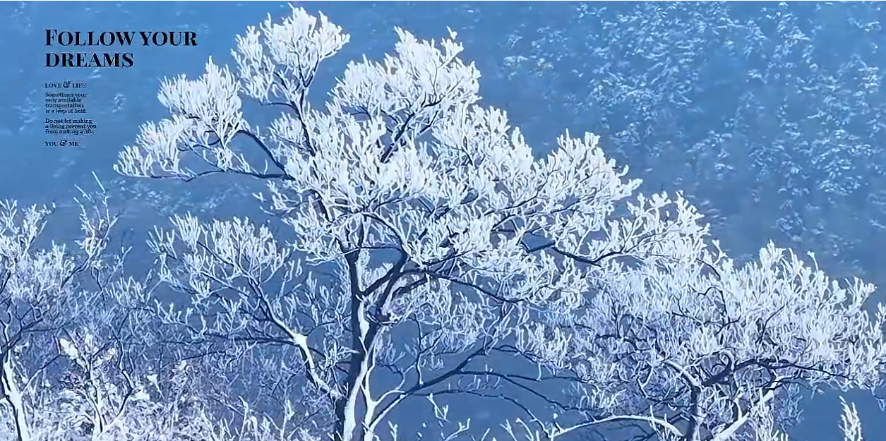 雪落茅山，一夕化作天上宫阙