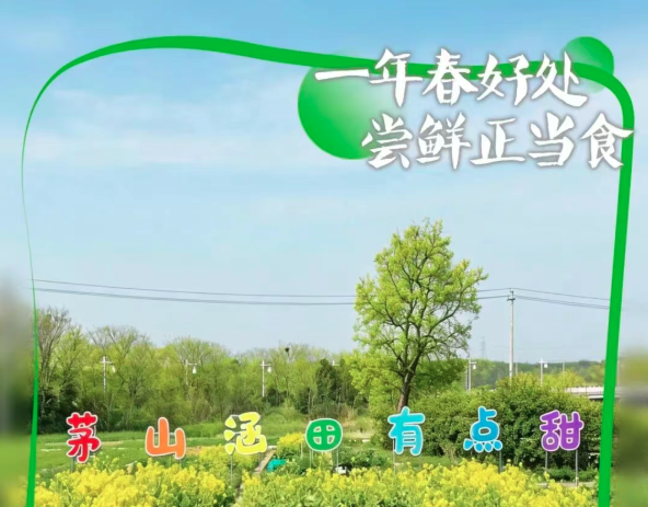 周末遛娃新玩法！挖野菜喂萌宠，一站式春日游