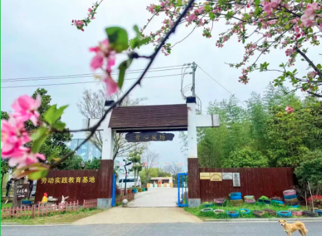家庭亲子+团队团建双适配！来开心农场，解锁沉浸式自然欢聚时光