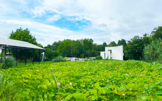 暑期特供！泳池撒欢×苏超共嗨：茅山涵田24小时嗨玩指南