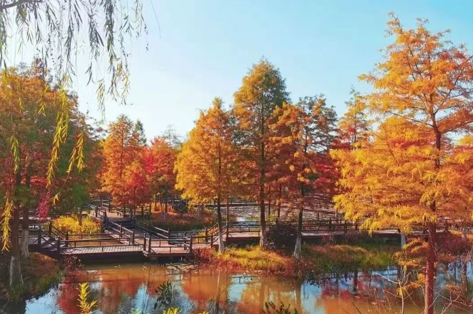 秋分|茅山湖藏着最野的浪漫，邀你赴秋约