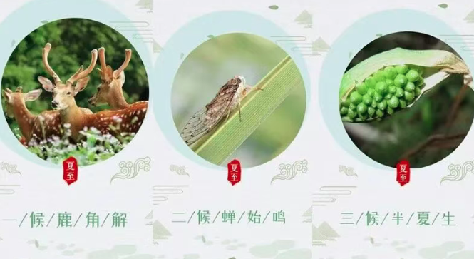 夏至・茅山湖｜寻一处清凉，度一季盛夏