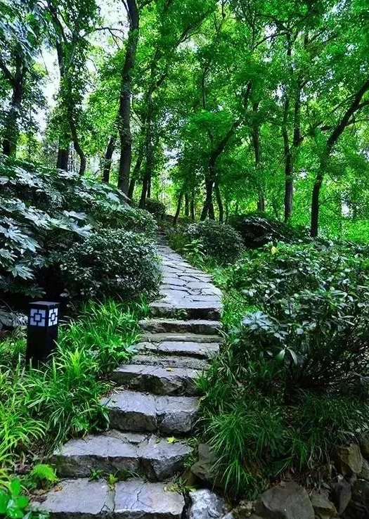 暑气犹在，“凉”心推荐茅山湖