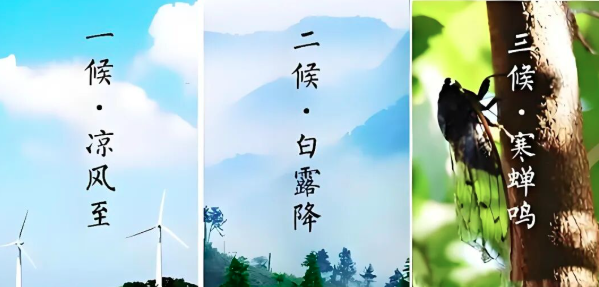 立秋｜在茅山湖等候第一缕秋风