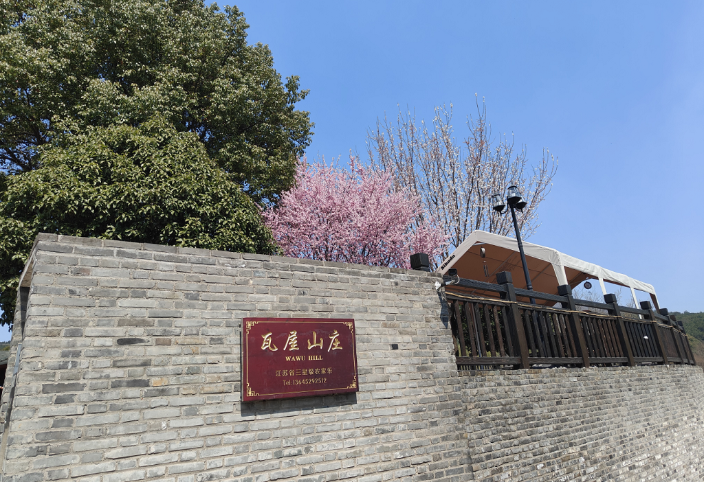 元旦去哪玩？挖笋！爬山！吃鲜货！