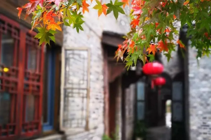 茅山湖：心之若素，香自满怀