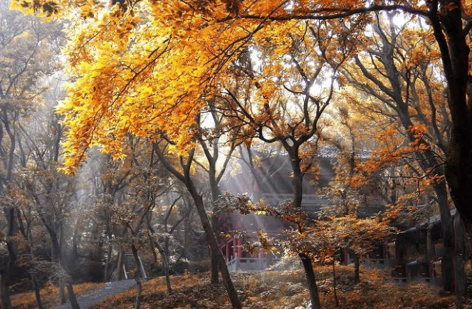茅山湖的风景，都藏在歌声里……