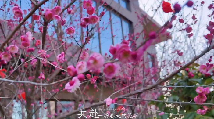 在茅山脚下，寻春品春，感受春之生机