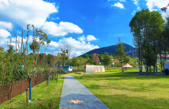 春节去哪玩？茅山脚下“绿影仙踪”过大年！解锁马年新玩法！