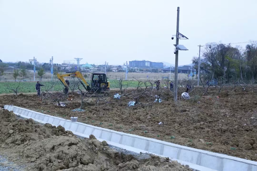 【产业富民专场】（四）茅山村：发展特色水果产业 “甜蜜经济”促增收