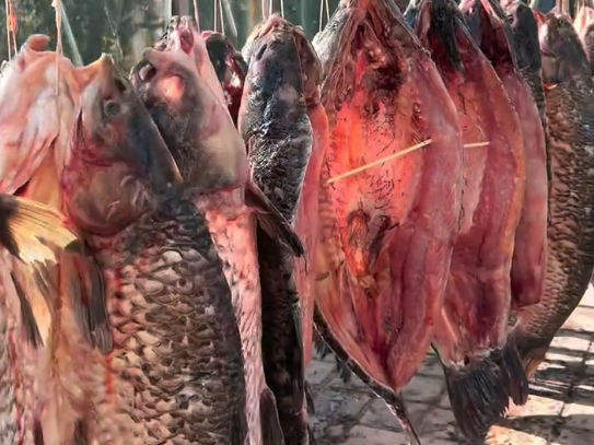 馋哭了！茅山湖这口腌青鱼，要等 37 天才能吃