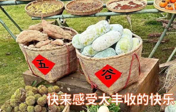 第八届茅山半岛秋收节盛大开启！邀您共赴一场金色田园盛宴