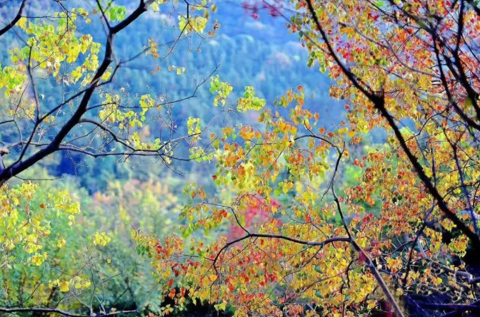 年末｜茅山湖为你定制盛宴，风景、美食两不误！
