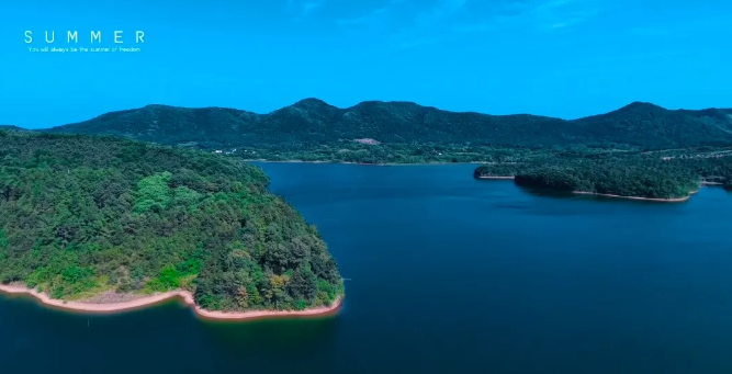 初夏，我来到了九龙山