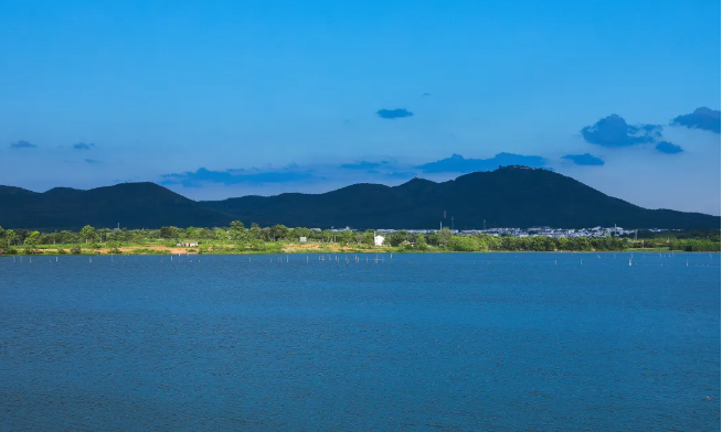 茅山风景区（茅山湖）：踔厉奋发务实干 奋楫扬帆谱新篇